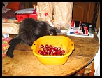 0083 2 juillet 2006